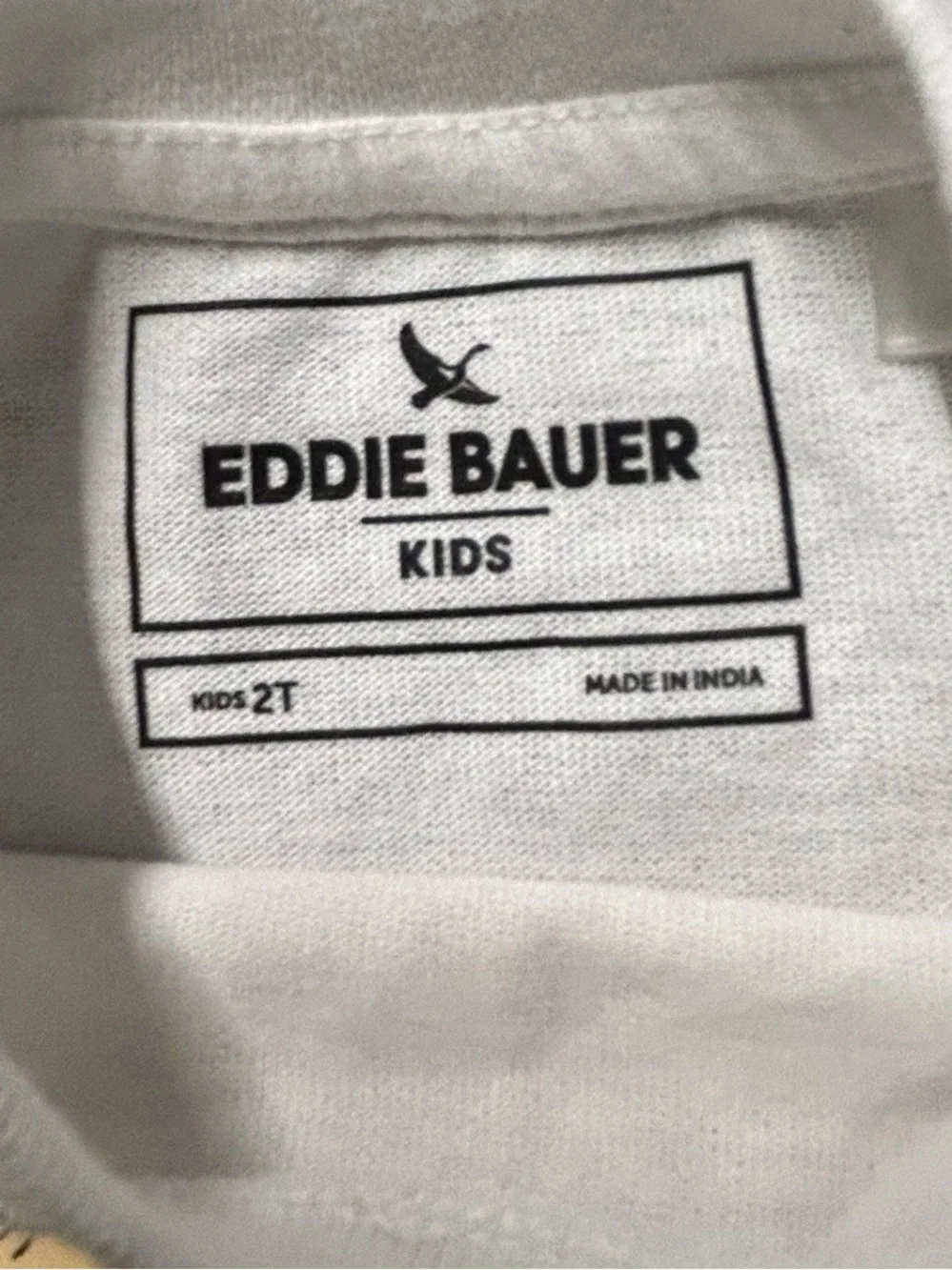 Toddler Boy Name Brand Tops Zara Mini Boden Eddie Bauer Size 2T